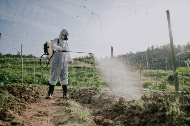 Best Ant Control Services  in Pitola, CA