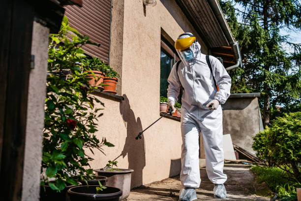 Professional Pest Control in Capitola, CA