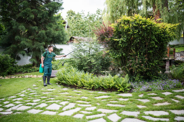 Flea Control Services in Capitola, CA