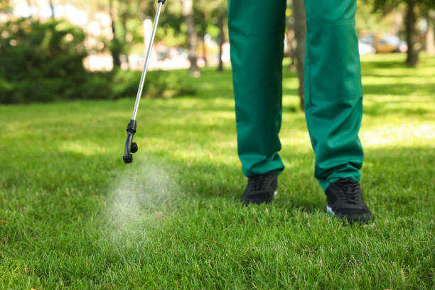 Best Pest Control Near Me  in Pitola, CA