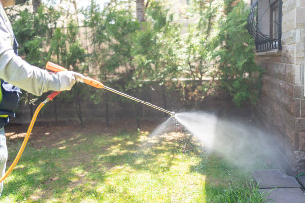 Best Best Pest Control Companies  in Pitola, CA