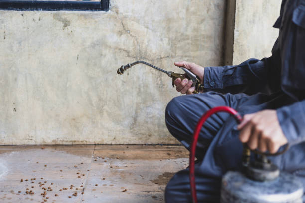 Best Emergency Pest Control  in Pitola, CA